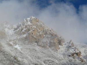 رستوران آبی
